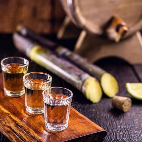 PROJETO ANFITRIÕES DE CULTURA